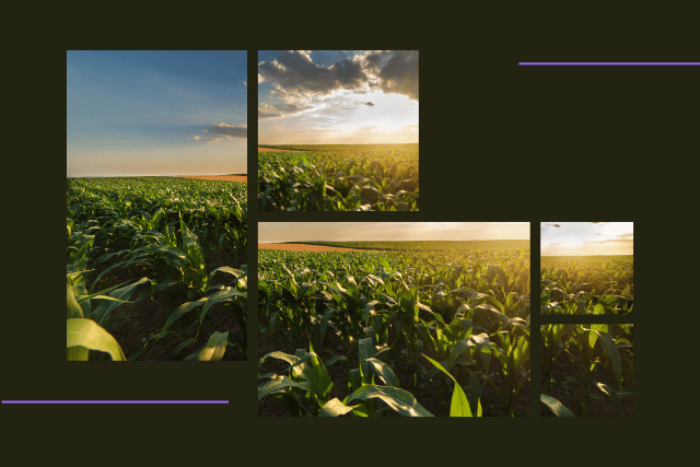 Featured image showing a farm to represnt Performance Management case study